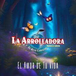 Cover of El Amor De Tu Vida