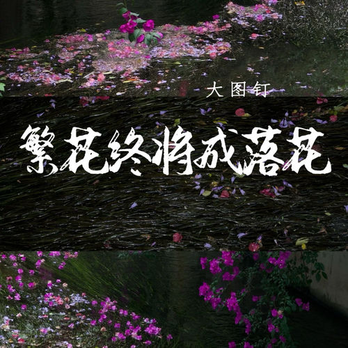 繁花终将成落花