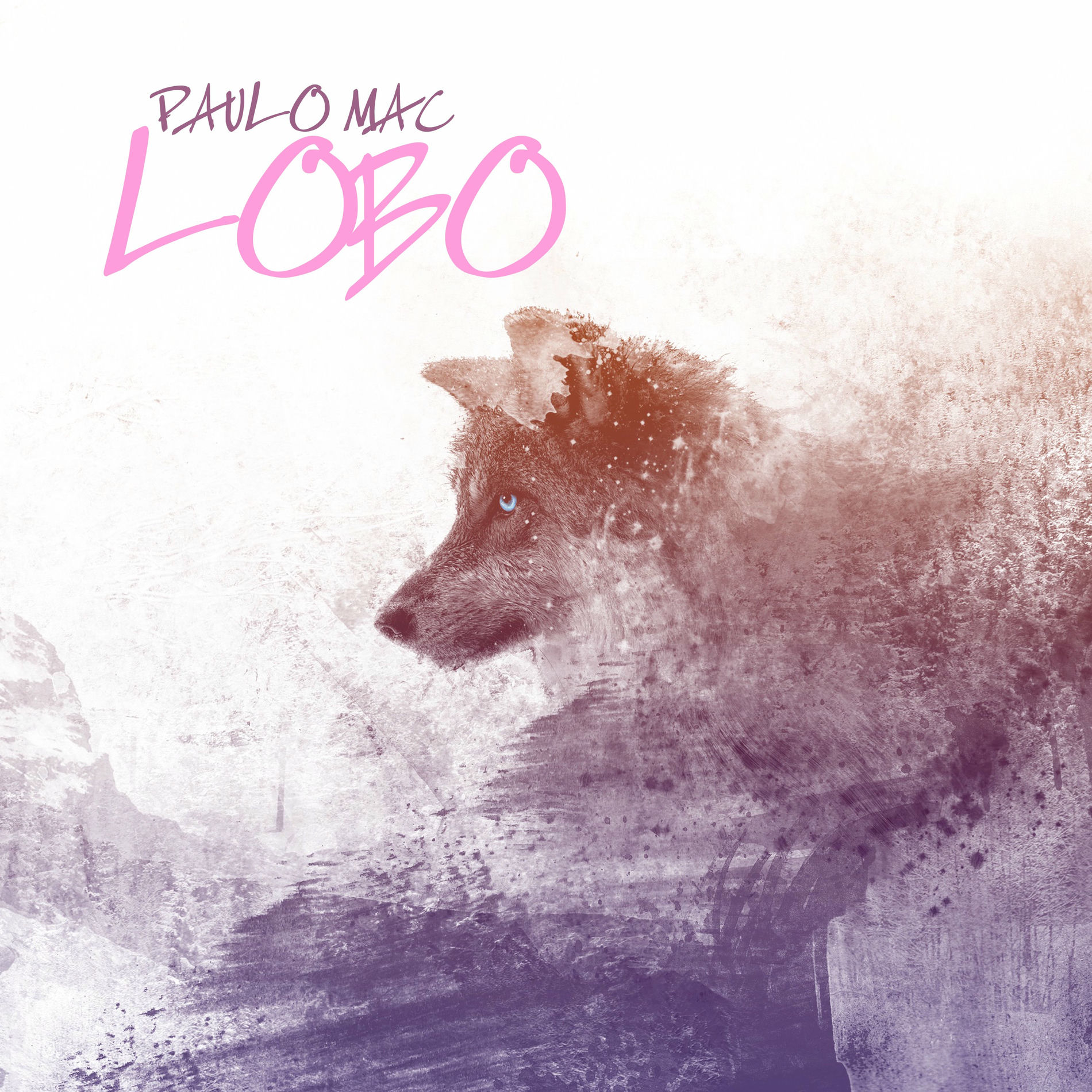 Album cover of Lobo