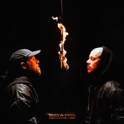 Cover of Scars