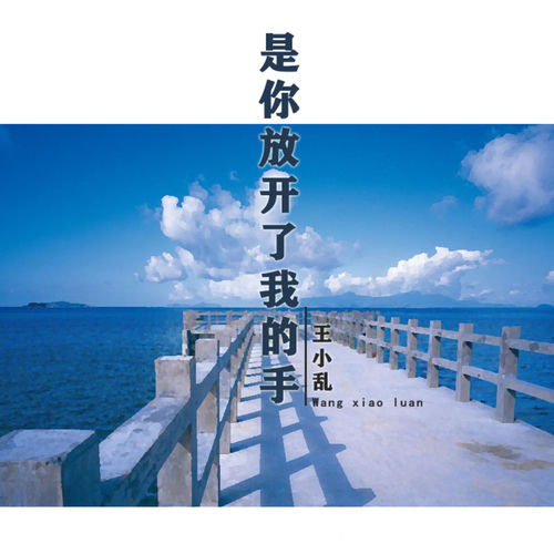 是你放开了我的手