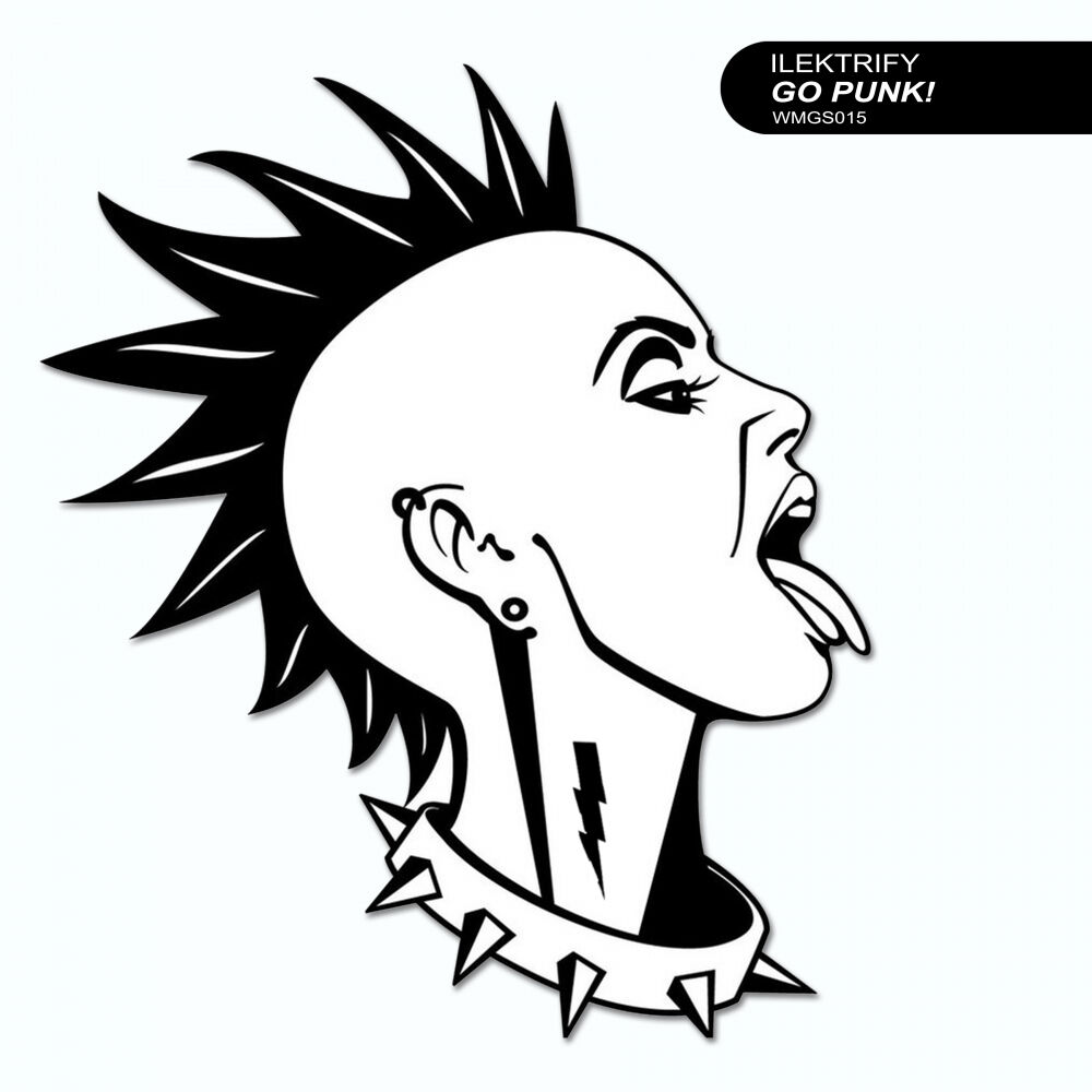Picture of Go Punk!
