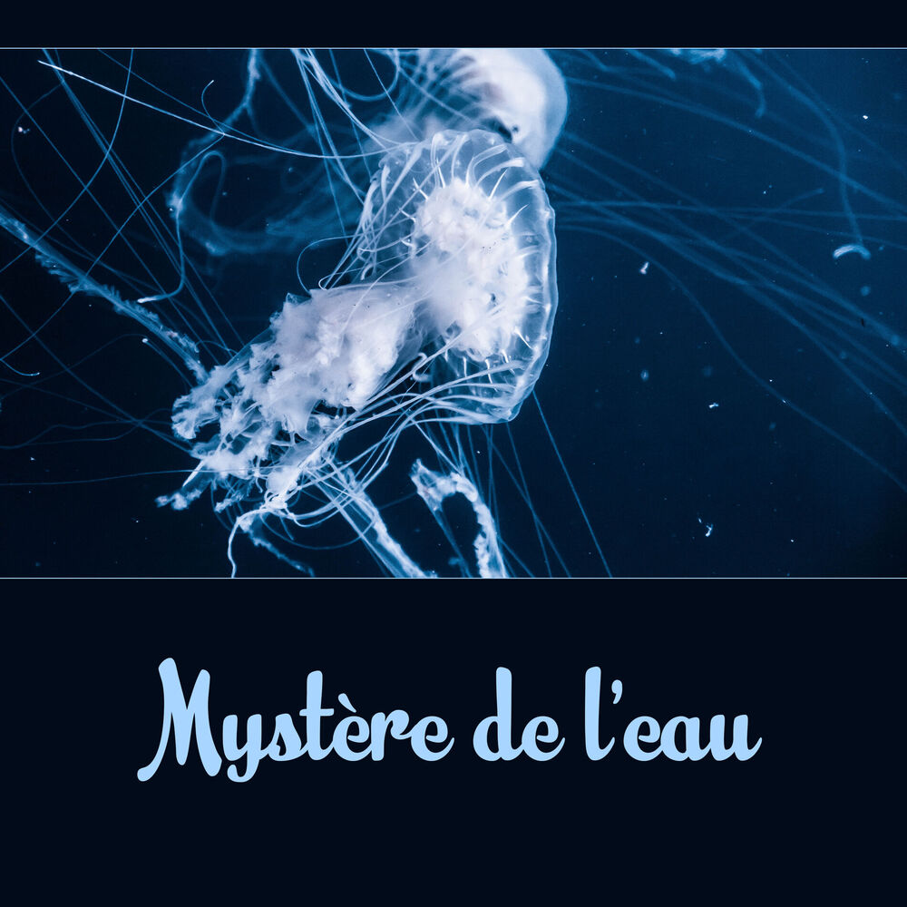 Picture of Mystère de l'eau - Guérison naturelle, L'homéopathie, Bruits de l'eau (Rivière, Pluie, Ruisseau de montagne, Chute d'eau, Océan)