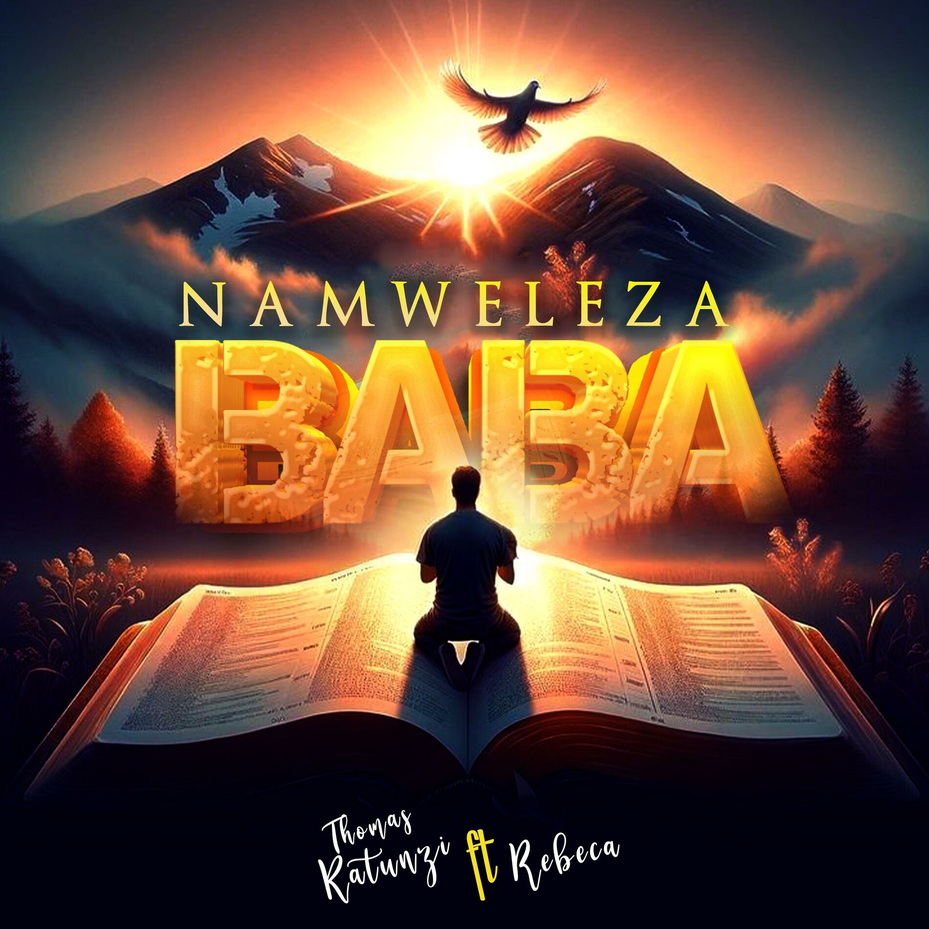 Album cover of Namweleza Baba (feat. Rebeca)
