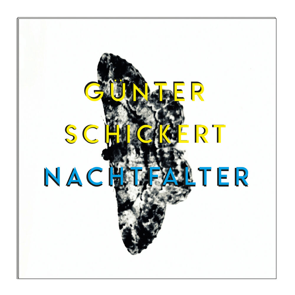 Picture of Nachtfalter