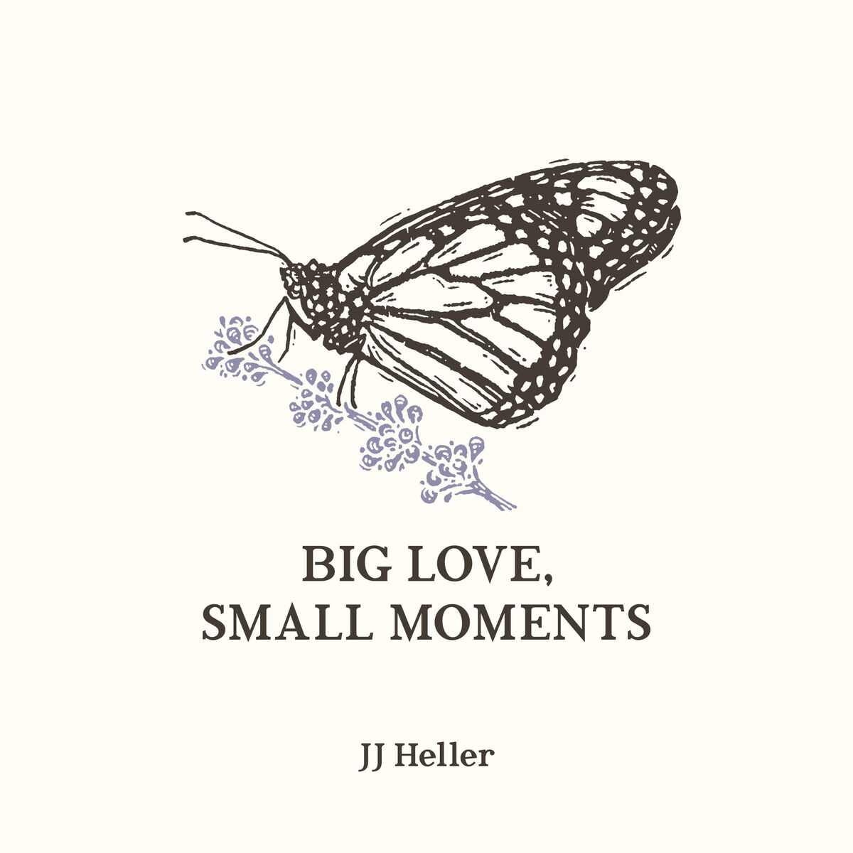 Album cover of Big Love, Small Moments