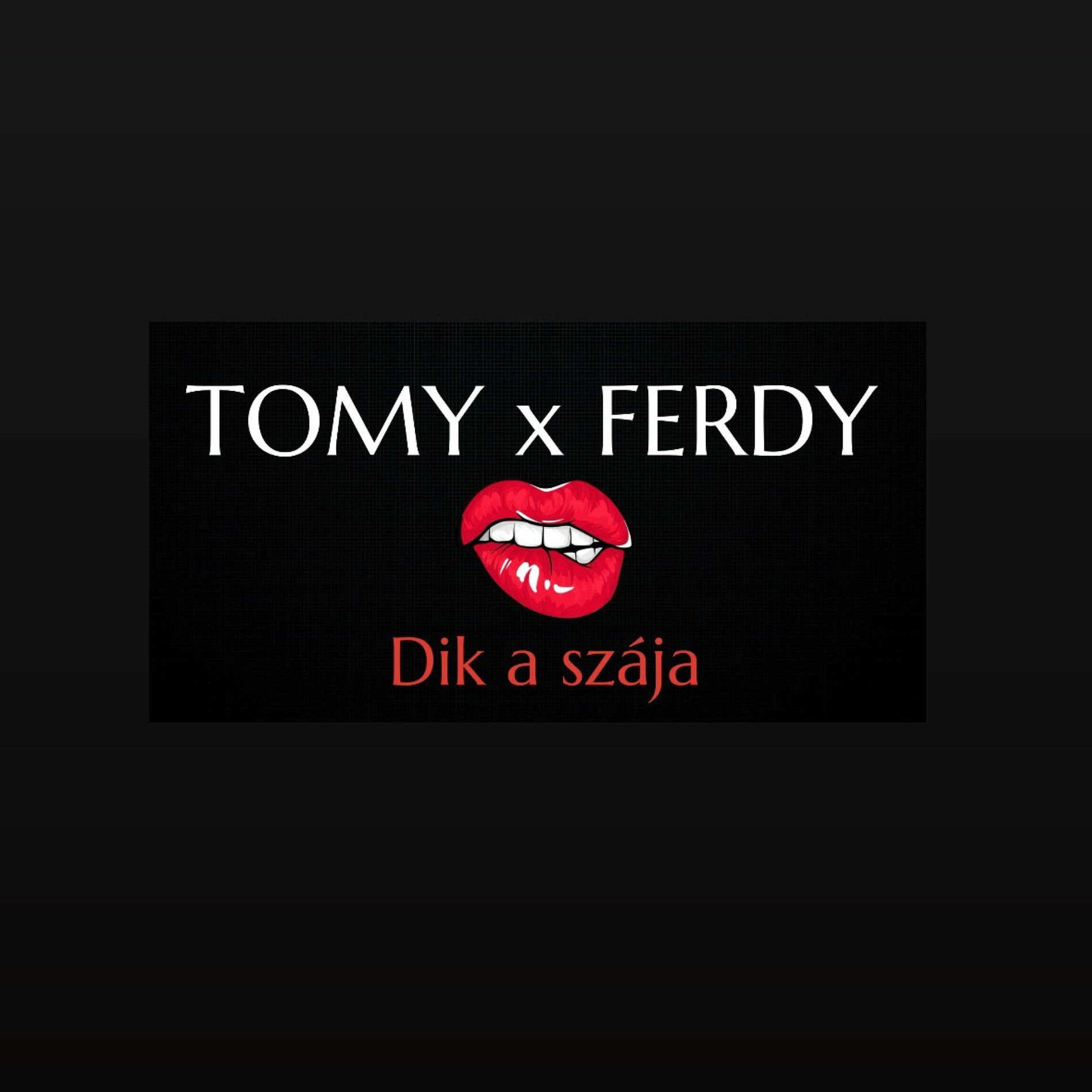 Album cover of Dik a szája (feat. FERDY)