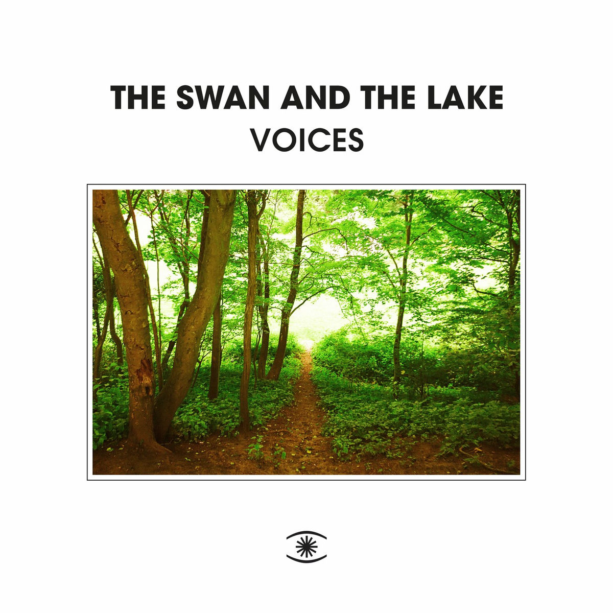 Album cover of Voices