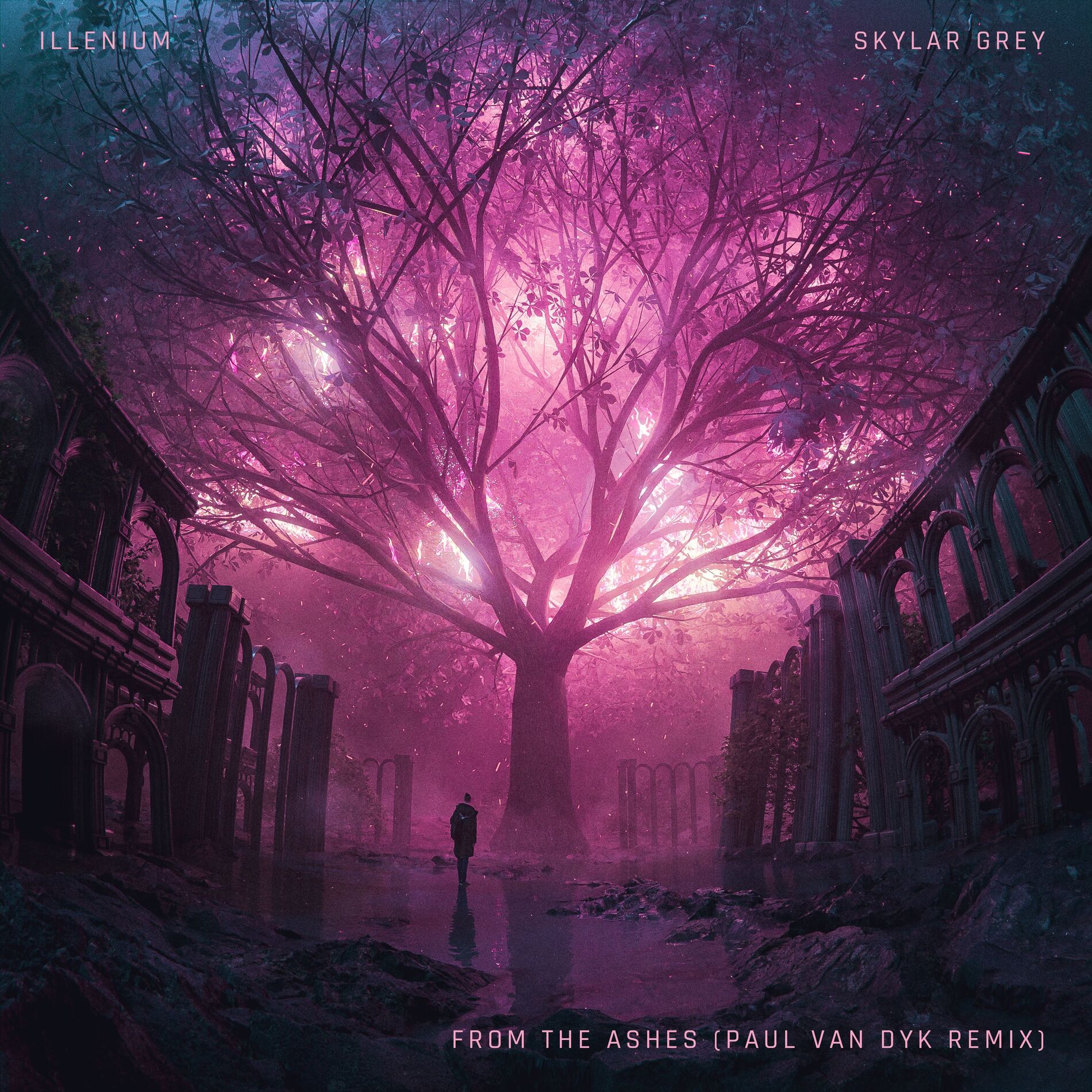 Album cover of From the Ashes