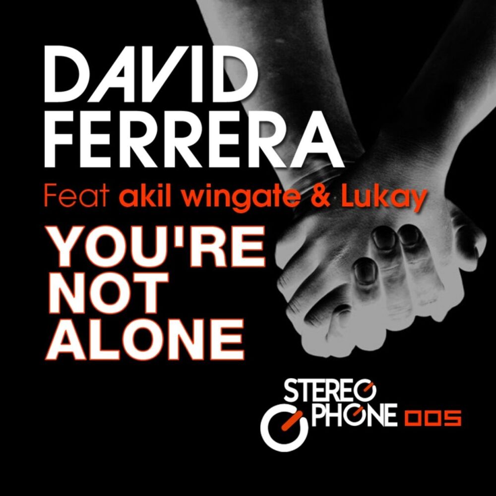 Picture of You're Not Alone (feat. Luckay & Akil Wingate)