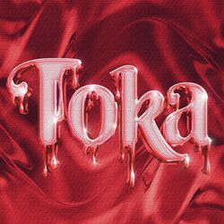 Cover of Toka