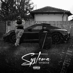 Cover of Systema