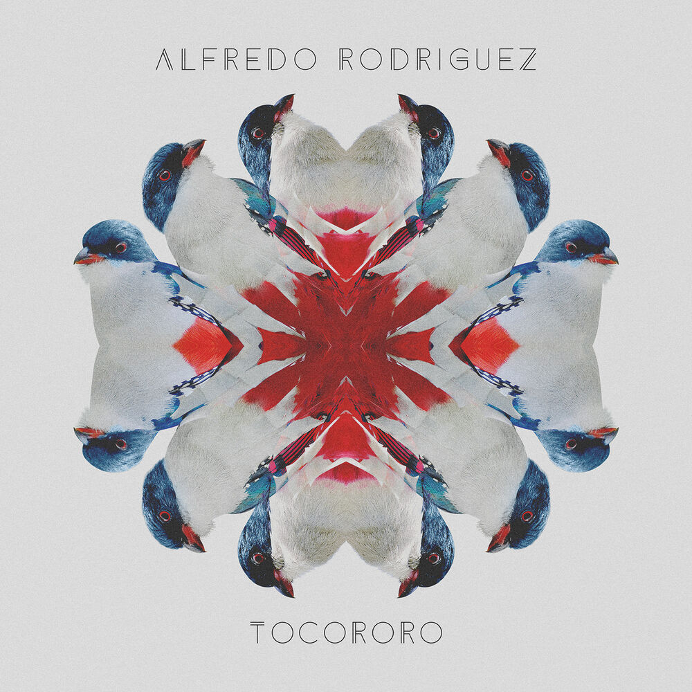 Picture of Tocororo