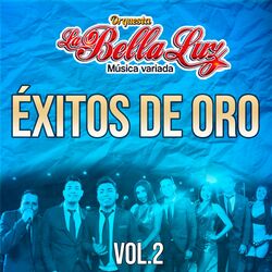 Cover of Éxitos de Oro, Vol. 2