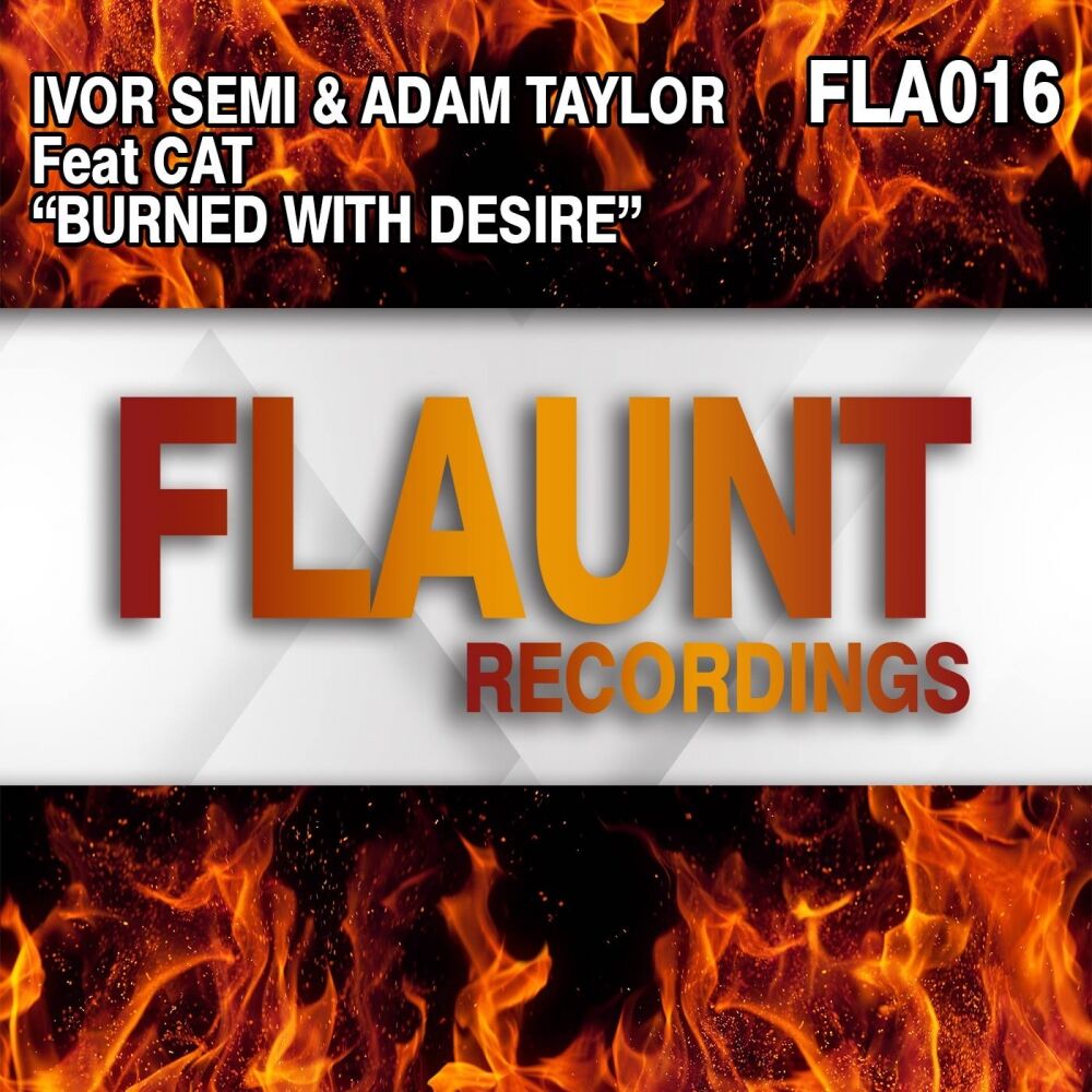 Picture of Burned With Desire