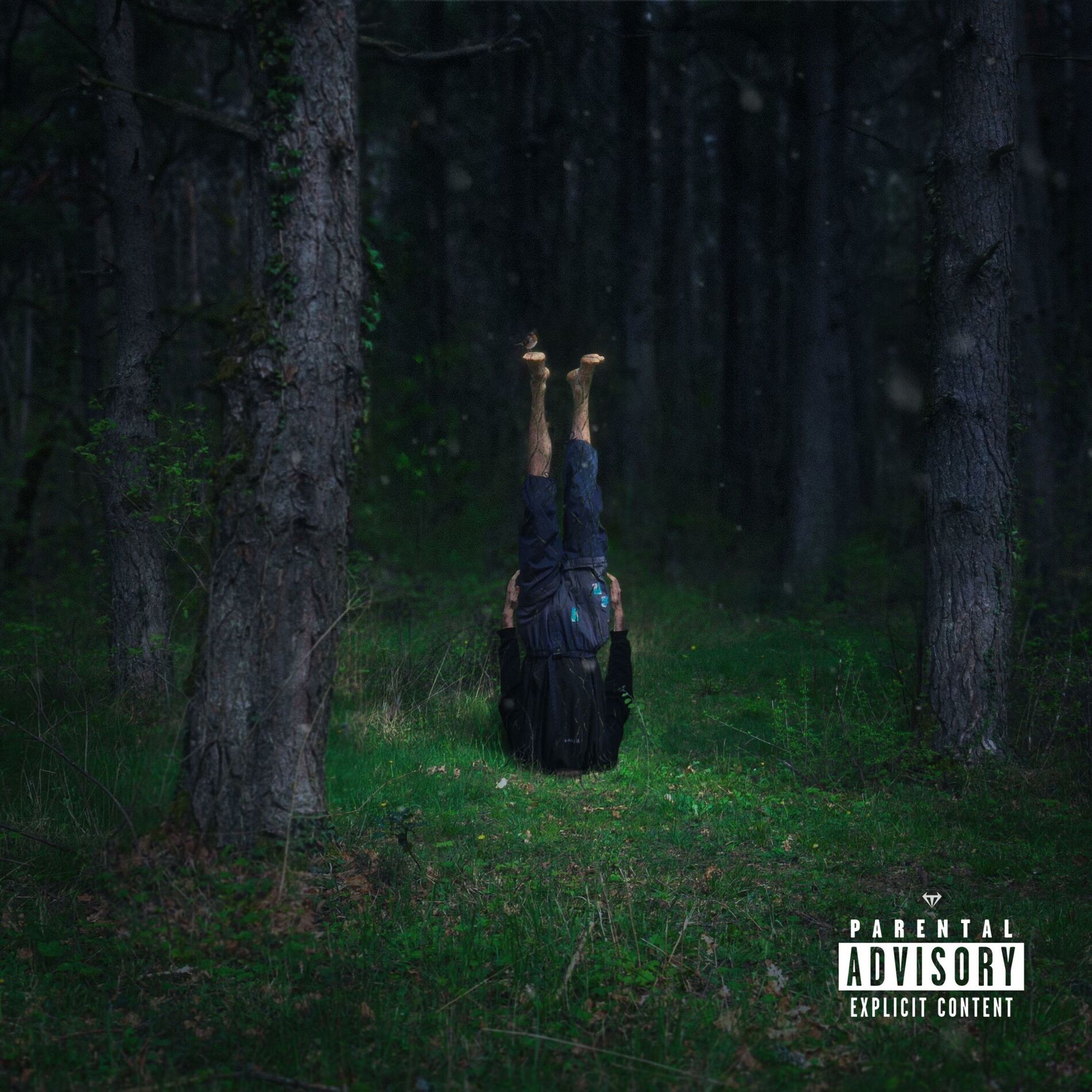 Album cover of VILKCORE