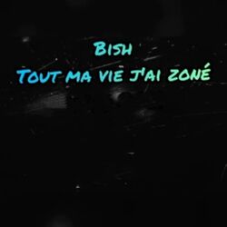 Cover of Toute ma vie j'ai zoné