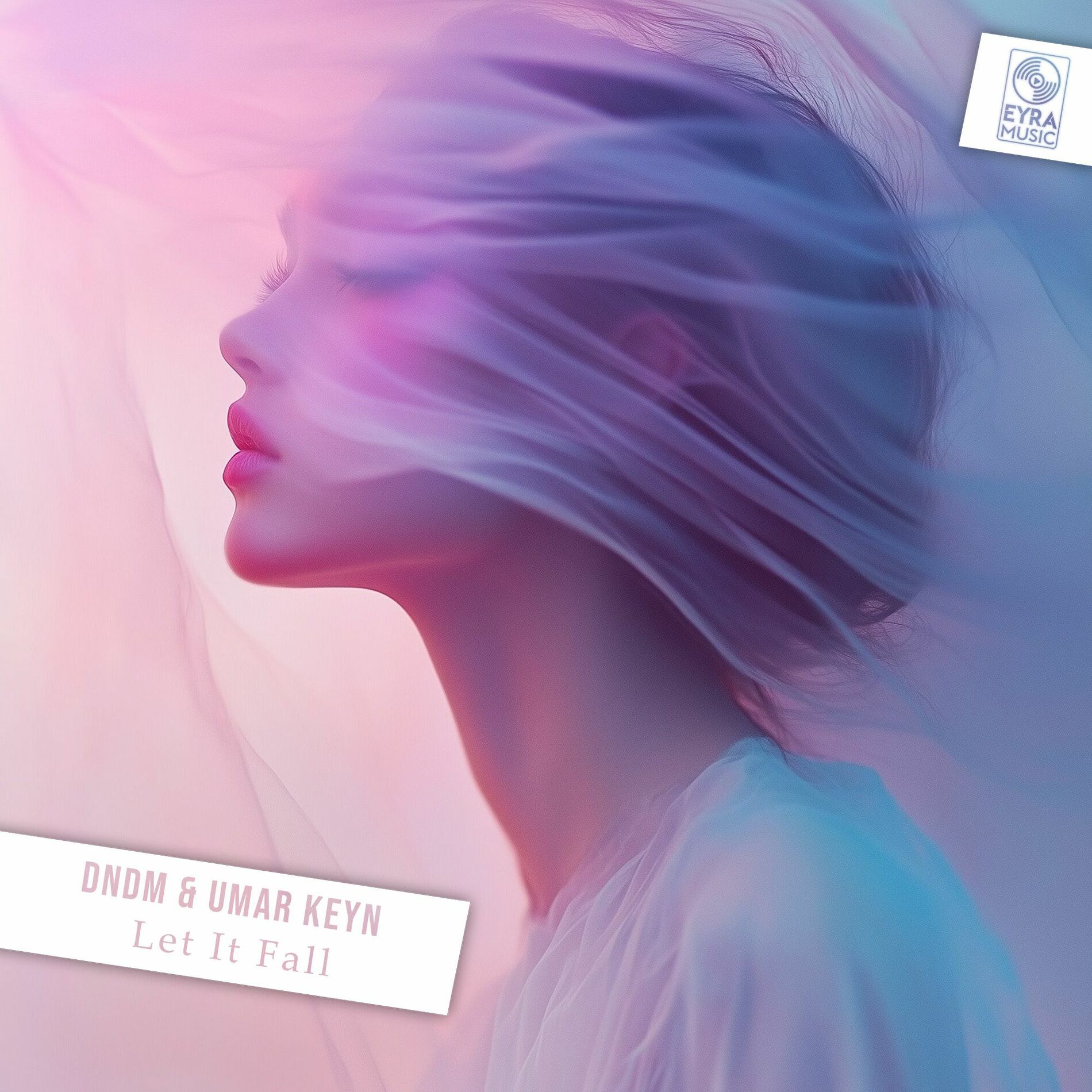 Album cover of Let It Fall
