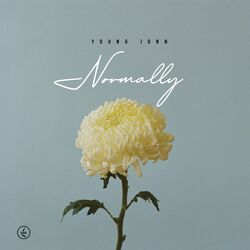 Cover of Normally