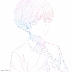 Cover of Shape of Love