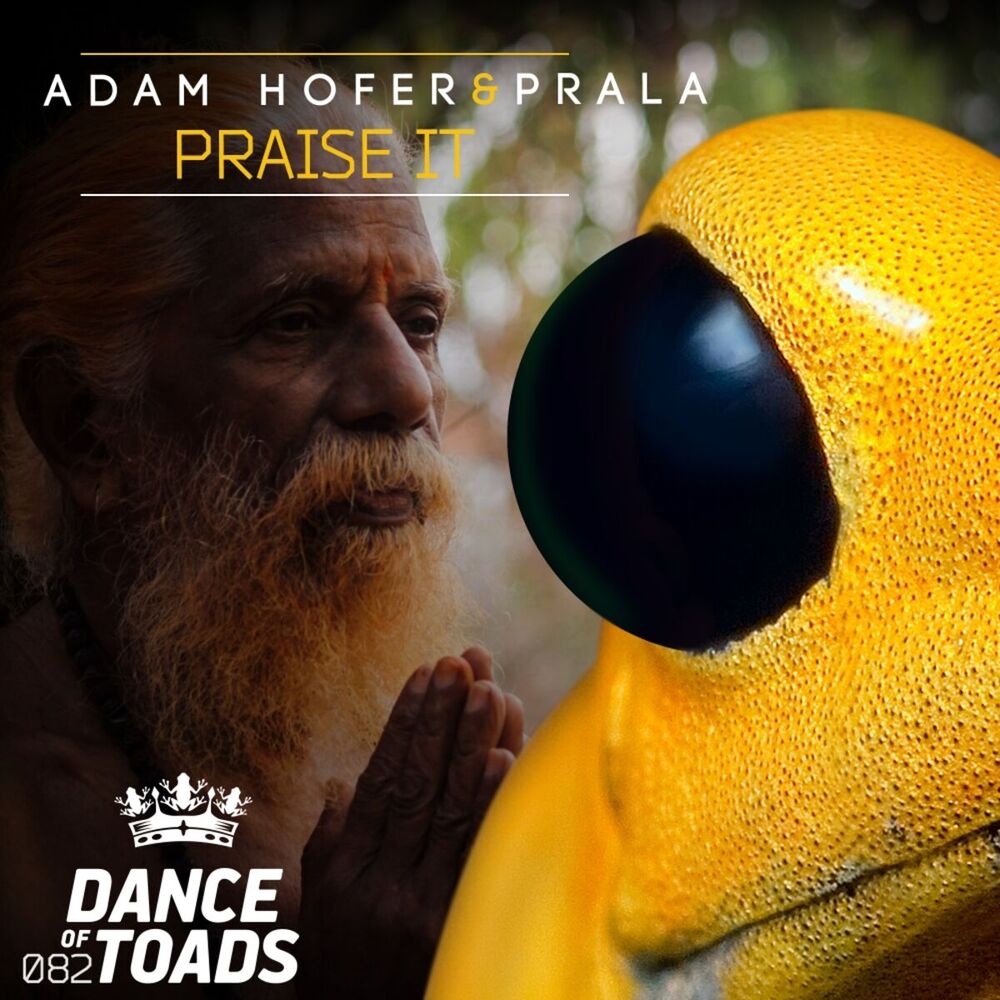 Picture of Praise It