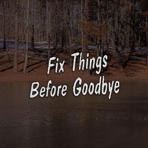 Fix Things Before Goodbye artwork