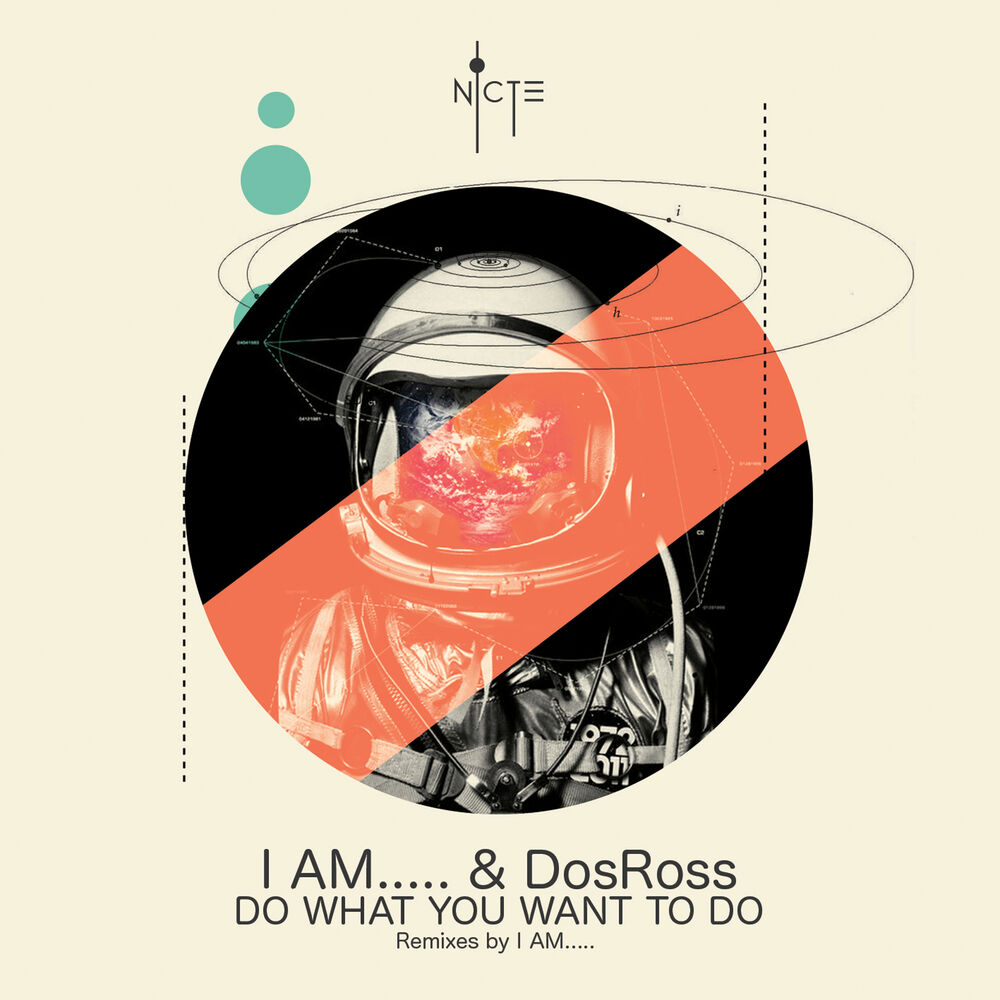 Picture of Do What You Want to Do