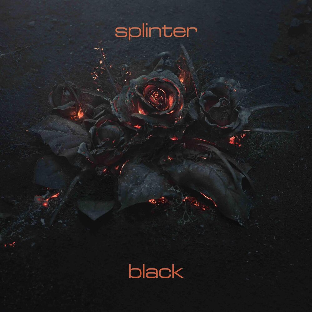 Picture of Black