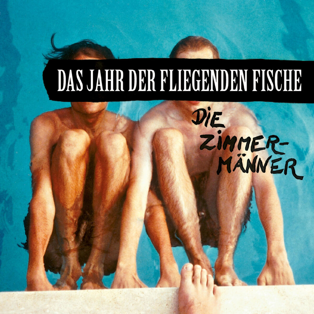 Album cover of Das Jahr der fliegenden Fische
