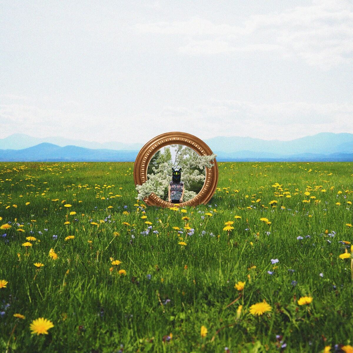 Album cover of Forgotten Feels (Deluxe)
