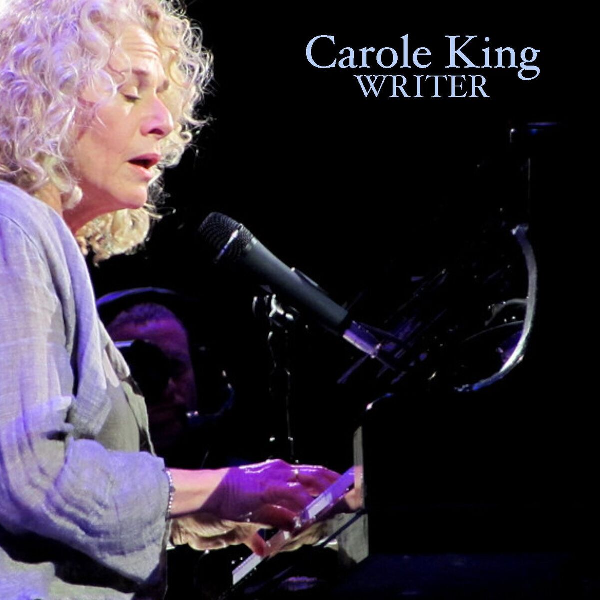 Album cover of Writer