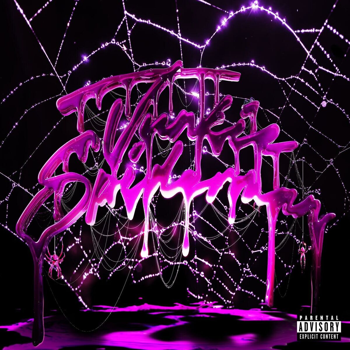 Album cover of Junkie Spiderman