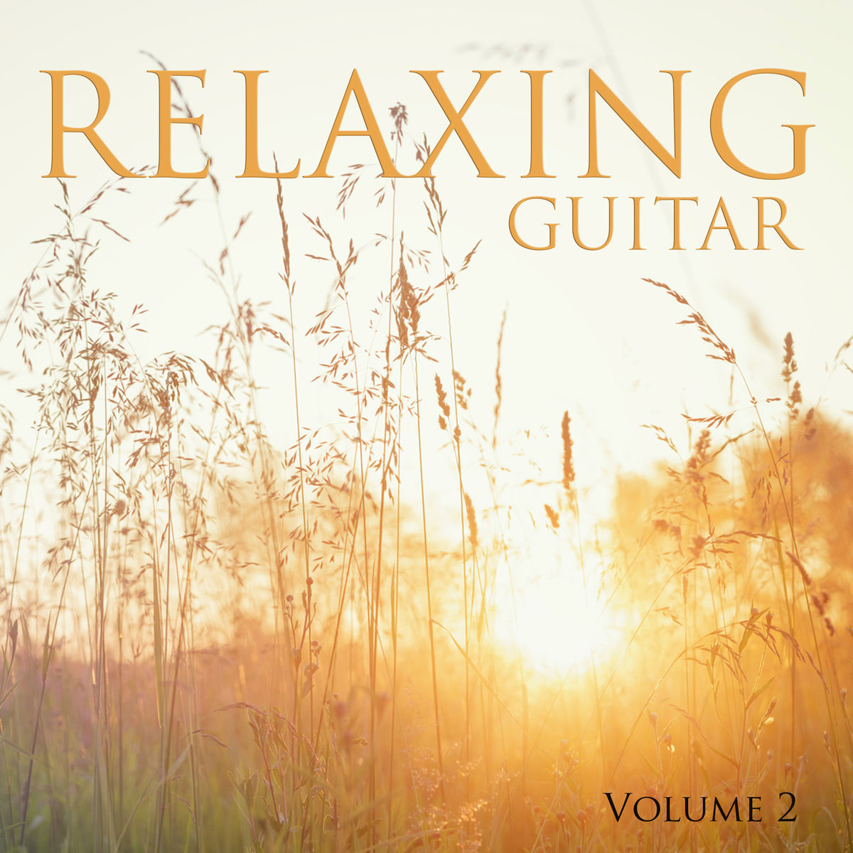 Album cover of Cavatina