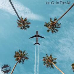 Cover of In the Air