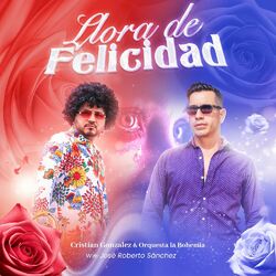 Cover of Llora De Felicidad
