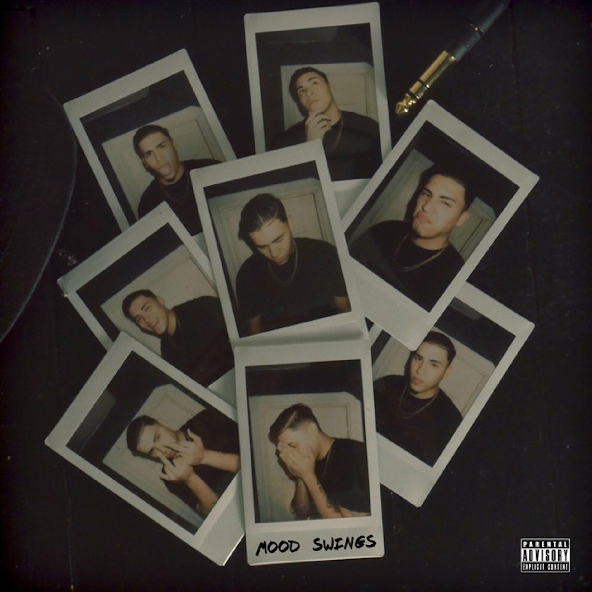 Album cover of Mood Swings