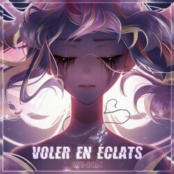 Cover of Voler en Éclats