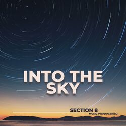 Cover of Into the sky
