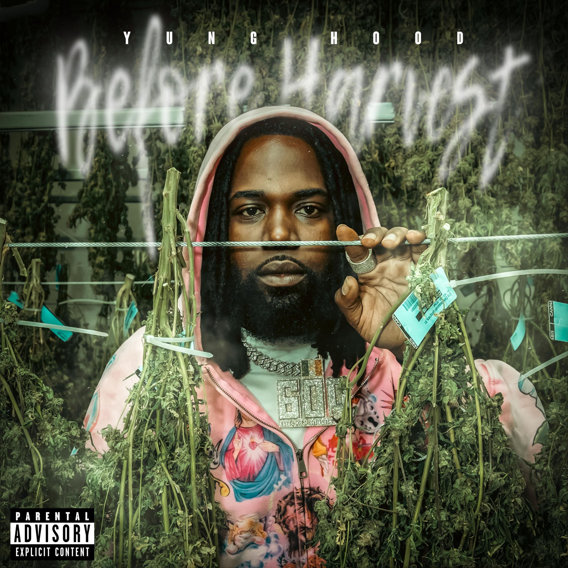 Album cover of Before Harvest
