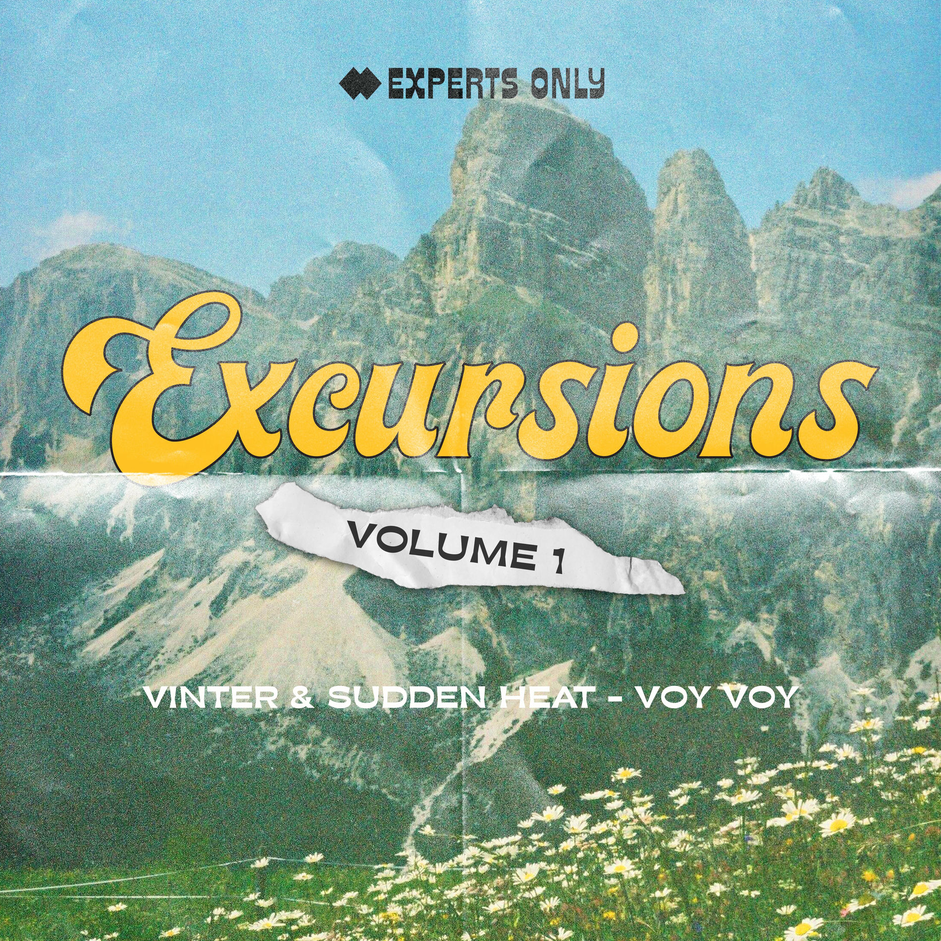 Album cover of Voy Voy