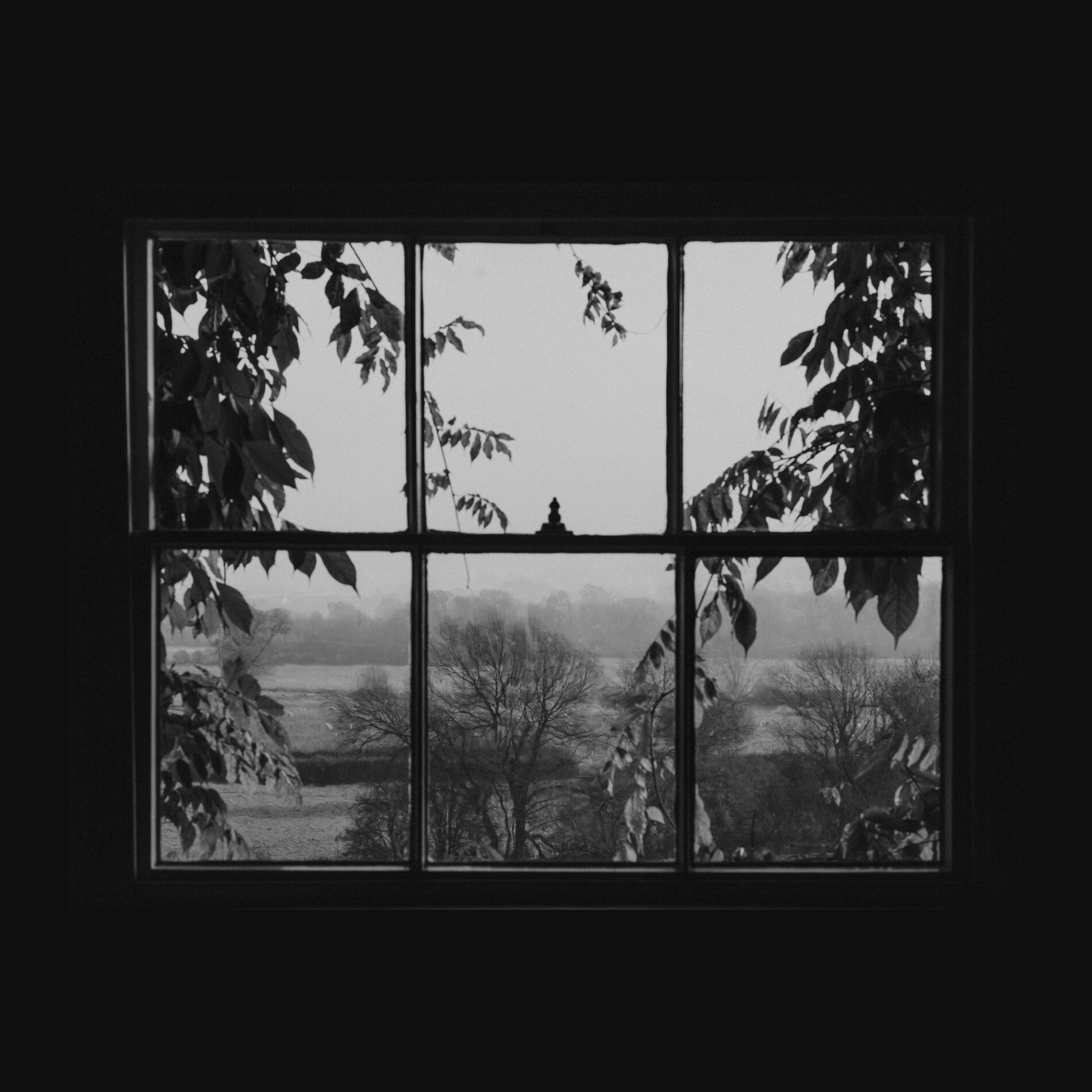 Album cover of From the Window