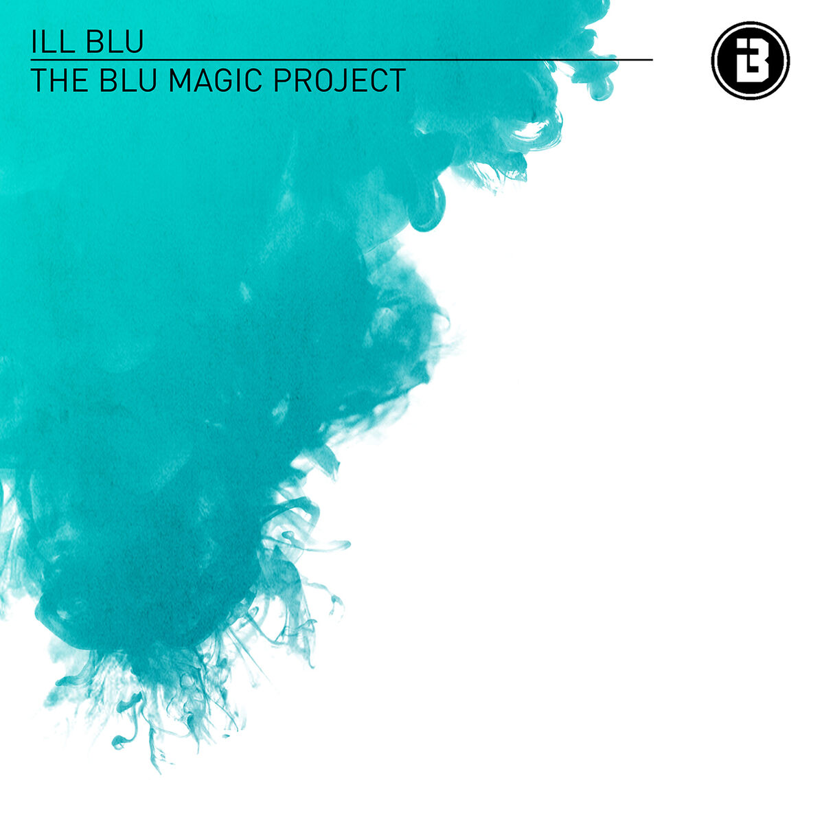 Album cover of The BLU Magic Project