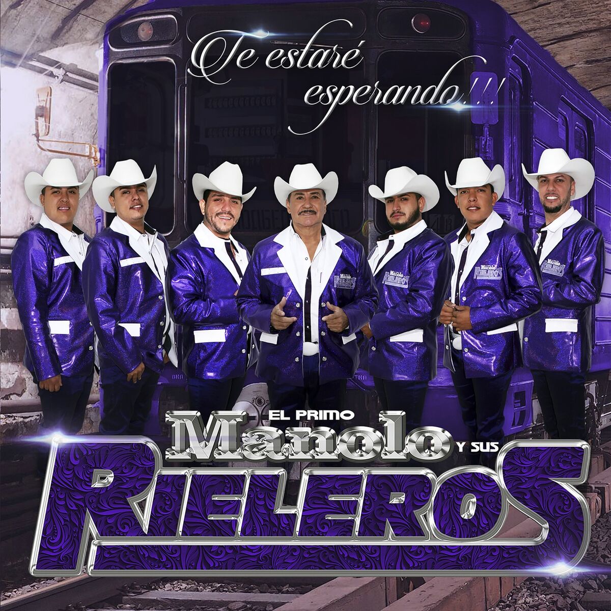 Album cover of Te Estaré Esperando