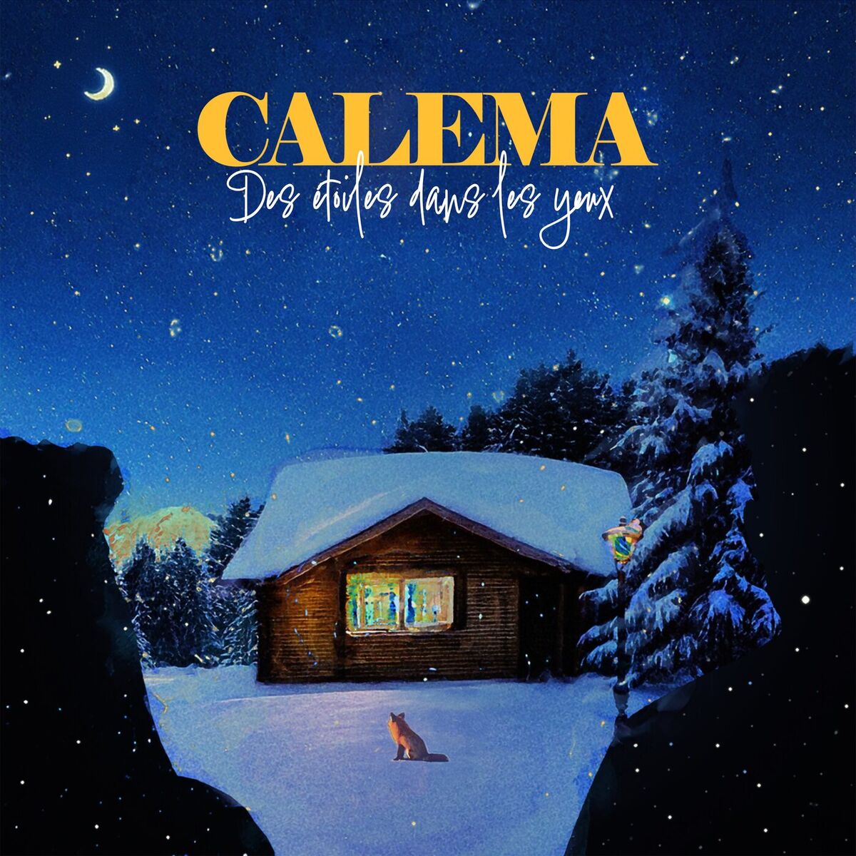 Album cover of Des étoiles dans les yeux