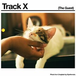 Cover of Track X (The Guest)