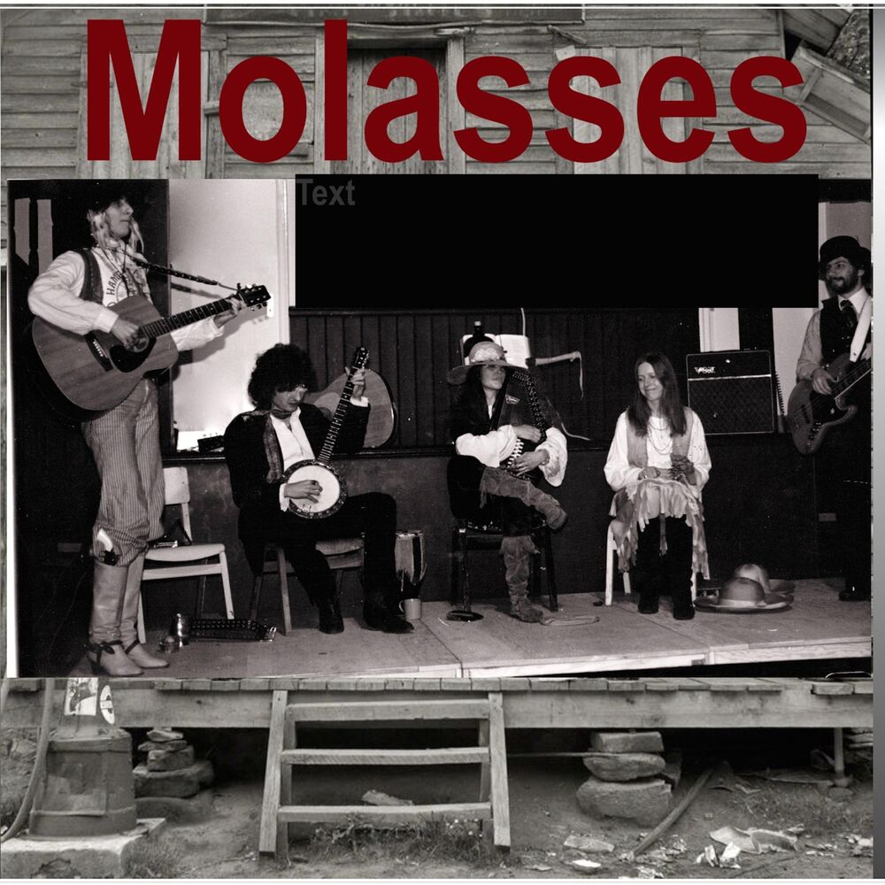 Picture of Molasses