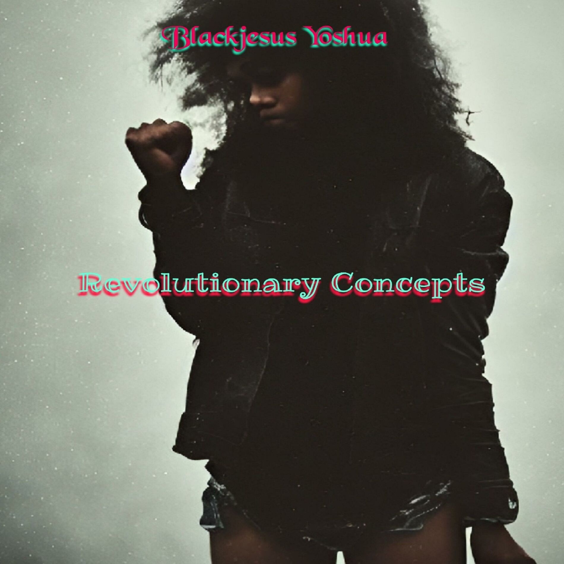 Album cover of Revolutionary Concepts