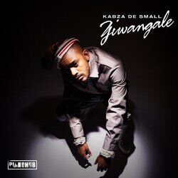 Cover of Ziwangale