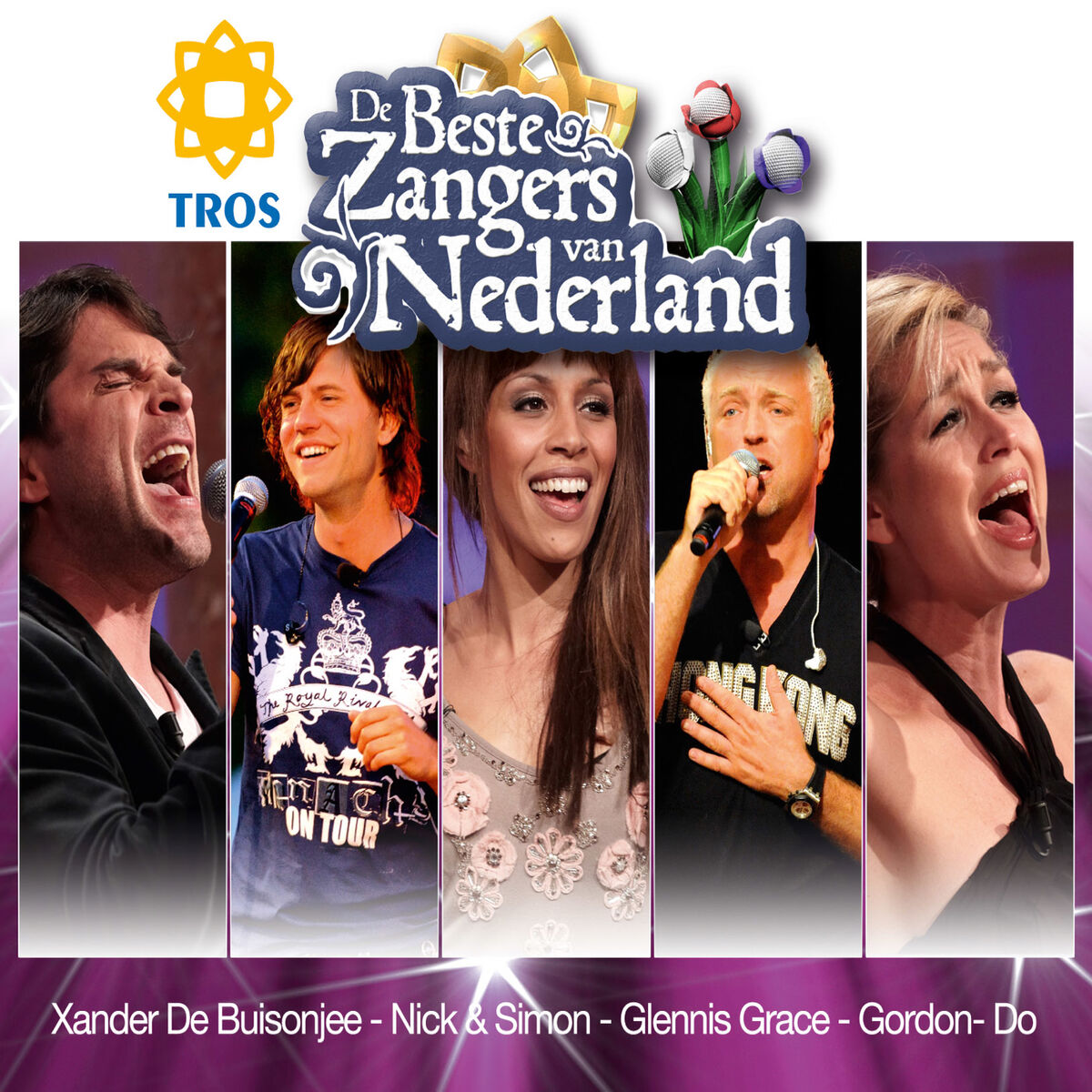 Album cover of De Beste Zangers van Nederland