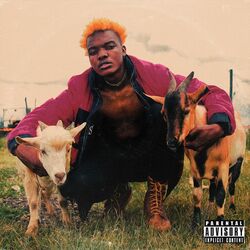 Cover of Wavie 2